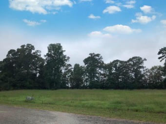100 year old Cypress trees line the Indian Creekside entry into - Lake Lot For Sale in Jasper, Texas