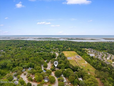 Move-in ready 3 bedroom, 2 full bath home in South Wilmington - photo 42