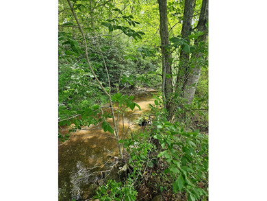 Your chance to own 3 acres of beautiful land with a creek on 2 - photo 42