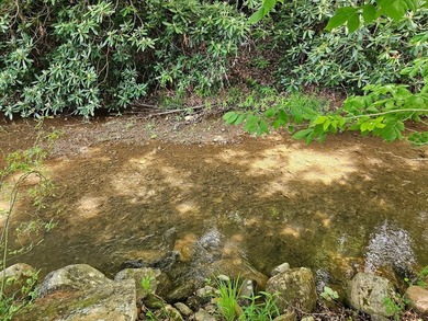 Your chance to own 3 acres of beautiful land with a creek on 2 - photo 43