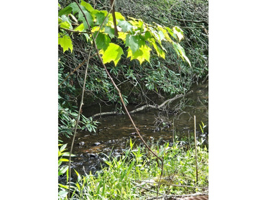 Your chance to own 3 acres of beautiful land with a creek on 2 - photo 44