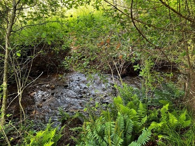 Your chance to own 3 acres of beautiful land with a creek on 2 - photo 47