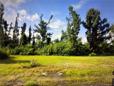 Lake Lot For Sale in Cape Coral, Florida