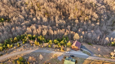 *Don't miss this beautiful 1 acre property featuring Lots 14 & - photo 3