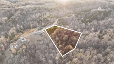 *Don't miss this beautiful 1 acre property featuring Lots 14 & - photo 4
