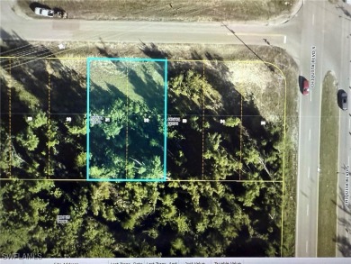 Beautiful oversized lot with a Southern Exposure Overlooking One - photo 6