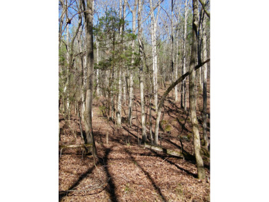 14.5 Acre Estate Lot @ Lake Richard B Russell - photo 5