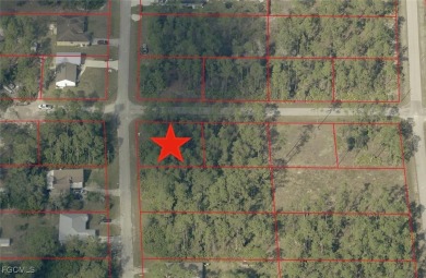 Lehigh Acres Area Lot For Sale in Alva Florida