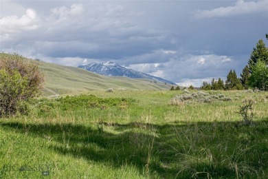 Madison River Acreage For Sale in Cameron Montana