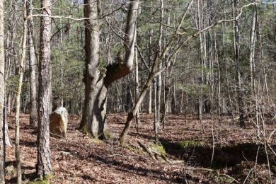 14.5 Acre Estate Lot @ Lake Richard B Russell - photo 6
