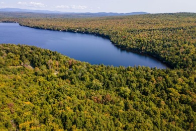 Piper Pond Acreage For Sale in Abbot Maine