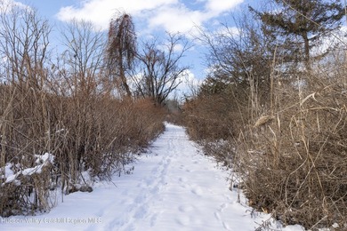 This approximately 2,100-square-foot ranch is sited on ~10 acres - photo 27