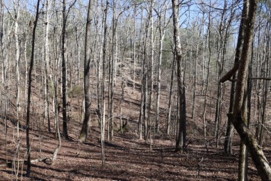 14.5 Acre Estate Lot @ Lake Richard B Russell - photo 7