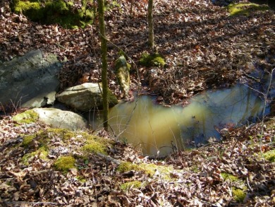 14.5 Acre Estate Lot @ Lake Richard B Russell - photo 9