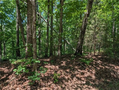 Perfect place to build your getaway, seasonal views atop a ridge - photo 3
