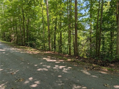 Perfect place to build your getaway, seasonal views atop a ridge - photo 4
