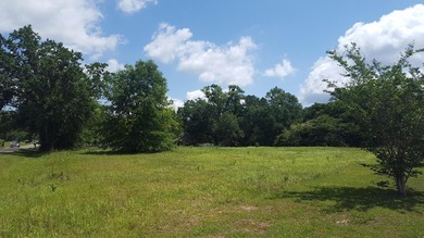 1 acre of commercial land. Mostly cleared. Oak trees. 200+ feet - photo 2