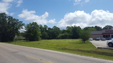 1 acre of commercial land. Mostly cleared. Oak trees. 200+ feet - photo 4