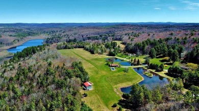 Home For Sale in Cochecton New York