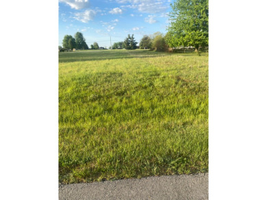 Property to build your home in Lake Waynoka - Lake Lot For Sale in Franklin Twp, Ohio
