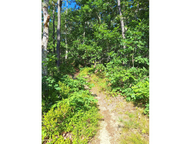 (private lake, pond, creek) Lot Sale Pending in Wellfleet Massachusetts