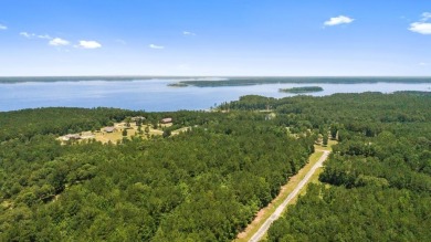 Lake Acreage For Sale in Brookeland, Texas