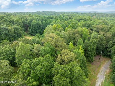 Lake Lot For Sale in Cedar Grove, Tennessee