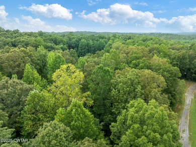 Lake Lot For Sale in Cedar Grove, Tennessee