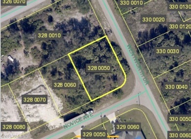 Lehigh Acres Area Lot For Sale in Lehigh Acres Florida