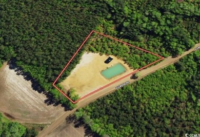 (private lake, pond, coastal) Lot For Sale in Galivants Ferry South Carolina