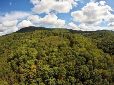Lake Acreage For Sale in Troutville, Virginia