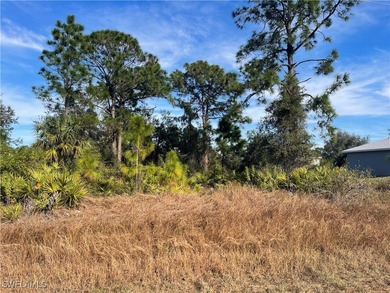 Lehigh Acres Area Lot For Sale in Lehigh Acres Florida