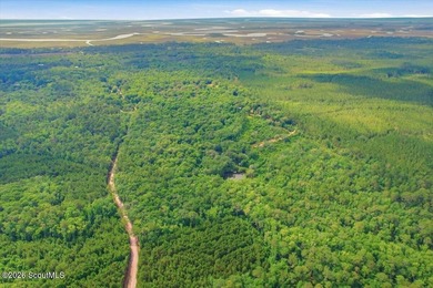 34.99 acres of privacy, possibility, and coastal Georgia beauty - photo 11