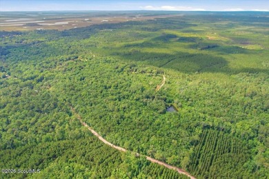 34.99 acres of privacy, possibility, and coastal Georgia beauty - photo 12