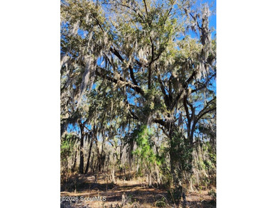34.99 acres of privacy, possibility, and coastal Georgia beauty - photo 13