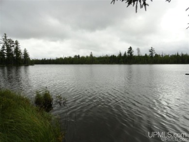 (private lake, pond, creek) Acreage For Sale in Ishpeming Michigan