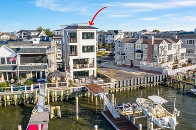 Welcome to 233 W. 17th Street--a striking new construction