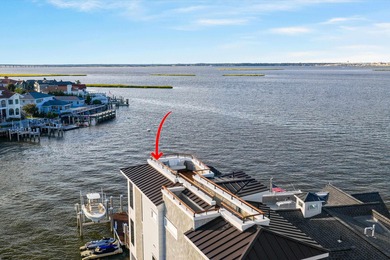 Welcome to 233 W. 17th Street--a striking new construction