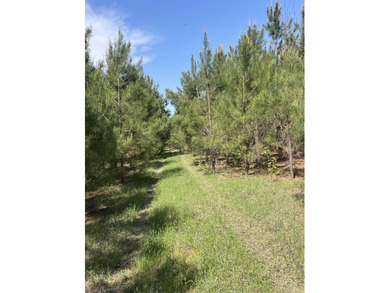 (private lake, pond, creek) Acreage For Sale in Doddridge Arkansas