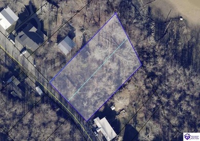Nolin Lake Lot For Sale in Cub Run Kentucky