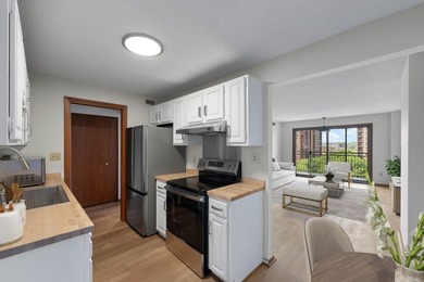 Situated just off Nicollet Mall and step from Loring Park, this - photo 6