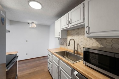 Situated just off Nicollet Mall and step from Loring Park, this - photo 8