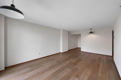 Situated just off Nicollet Mall and step from Loring Park, this - photo 10