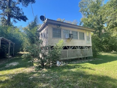 Lake Home For Sale in Colmesneil, Texas