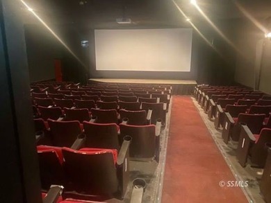 The Reel Cinema is for sale!!! Comes complete with all equipment - photo 9