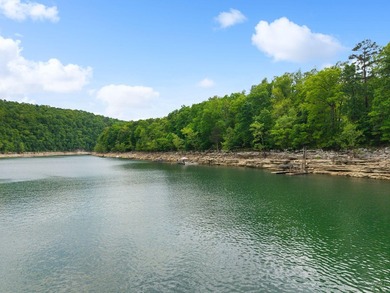 Searching for a private dock on Lake Cumberland / Southfork? - photo 57
