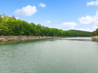 Searching for a private dock on Lake Cumberland / Southfork? - photo 58