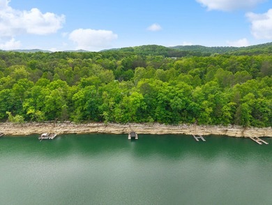 Searching for a private dock on Lake Cumberland / Southfork? - photo 59