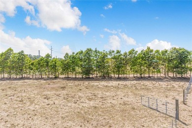 Come Build Your Dream Home Near Lake Hatchineha in this 4.91 - photo 6