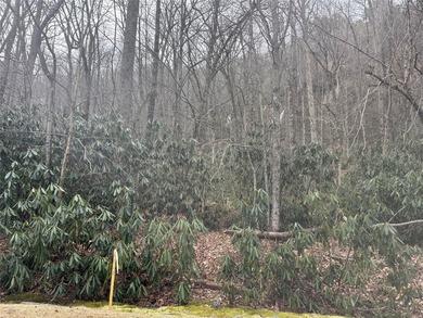 A rare opportunity to own a beautifully positioned double-lot - photo 1